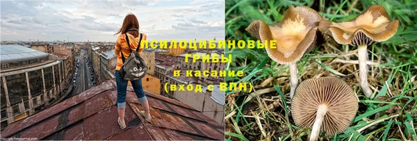 эйфоретик Богородицк