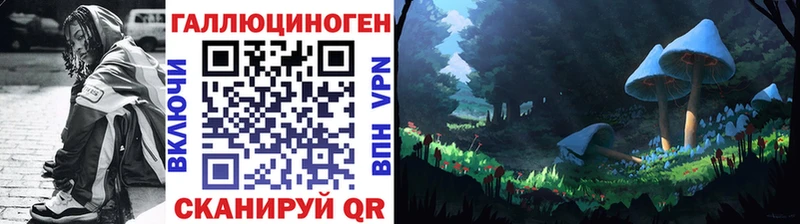 хочу наркоту  Светогорск  Галлюциногенные грибы MAGIC MUSHROOMS 
