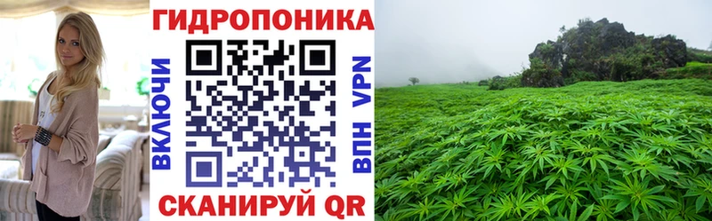 Марихуана марихуана  Светогорск 